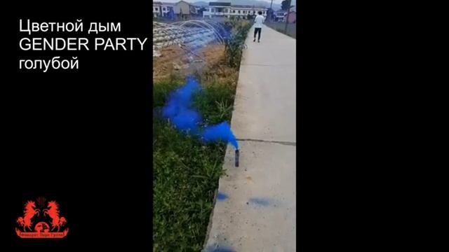 WPS-75 цветной дым GENDER PARTY синий