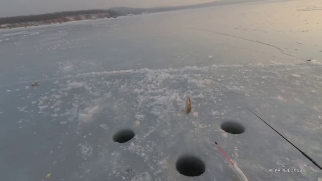 ВЕЧЕРНЯЯ РЫБАЛКА НА ЖЕЛЕЗО ПОСЛЕ РОЖДЕСТВА / ШКОТОВСКИЕ МЕЛЯКИ смотреть онлайн