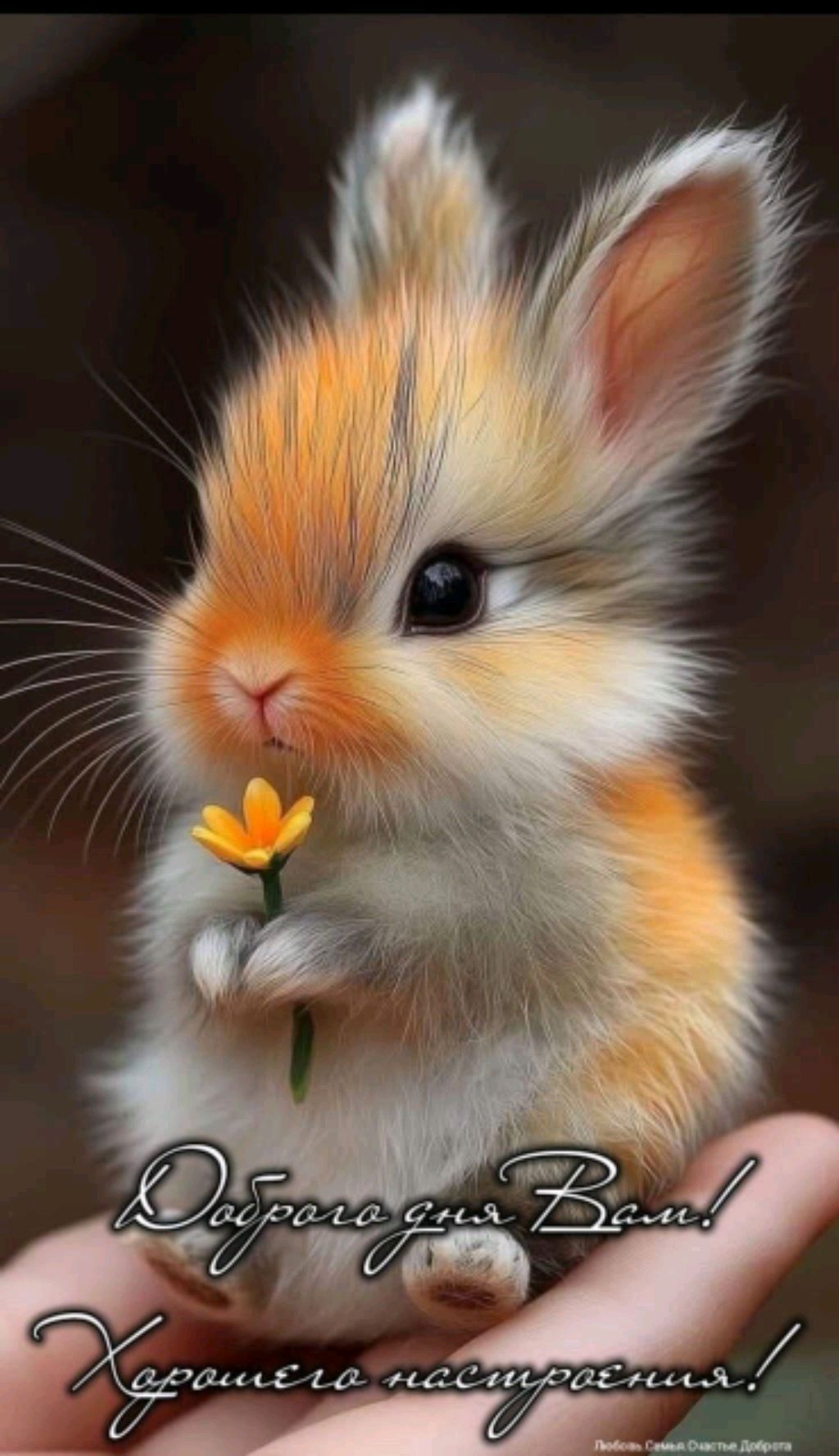 From The End Of The World.