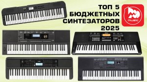 ТОП-5 синтезаторов до 25000 рублей 2025/2026