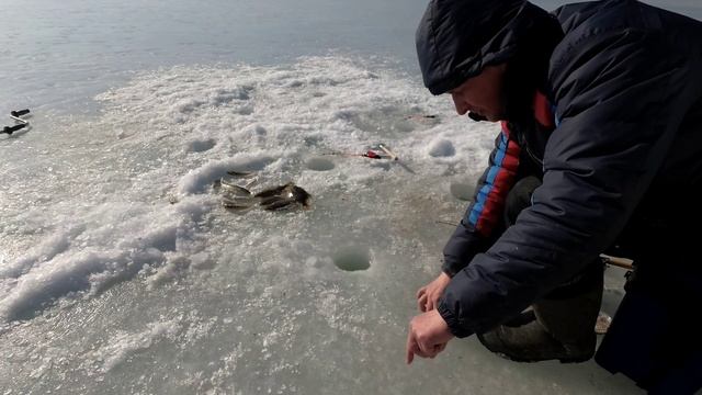 Камбала и наважка в Тавричанке 18.02. Full HD смотреть онлайн