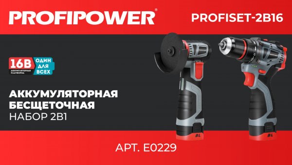 Аккумуляторный НАБОР PROFIPOWER 2в1 ProfiSet 2B16 артикул E0229