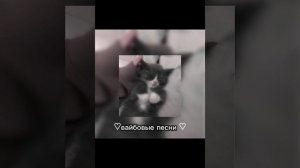 1000082534.mp4