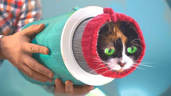 5 ЛАЙФХАКОВ ОТ SLIVKISHOW