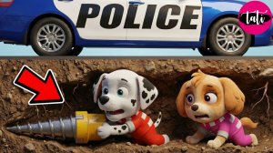 Щенячий патруль и Маршалл. Залипательное видео. Мультфильм для детей и малышей. Анимация