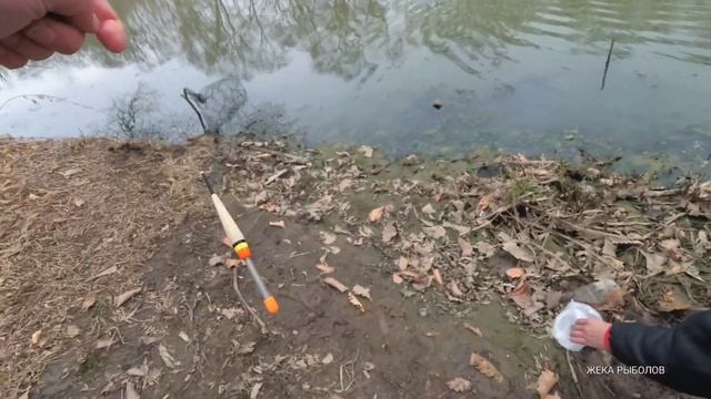 ЛОВЛЯ КАРАСЯ ВЕСНОЙ / КАРАСЬ НА ПОПЛАВОК В МАЕ смотреть онлайн