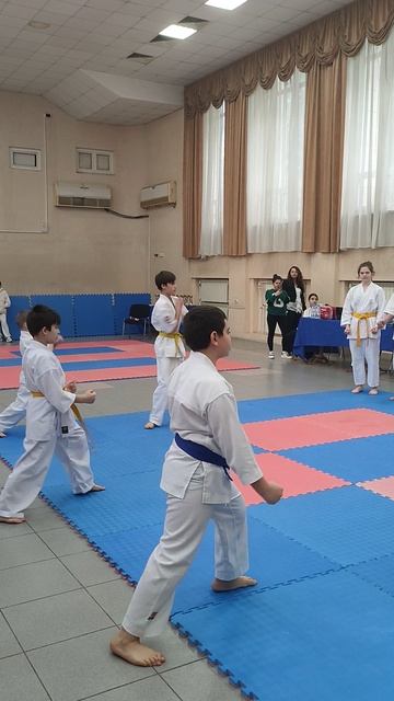 Карате Киокушинкай показательные выступления.