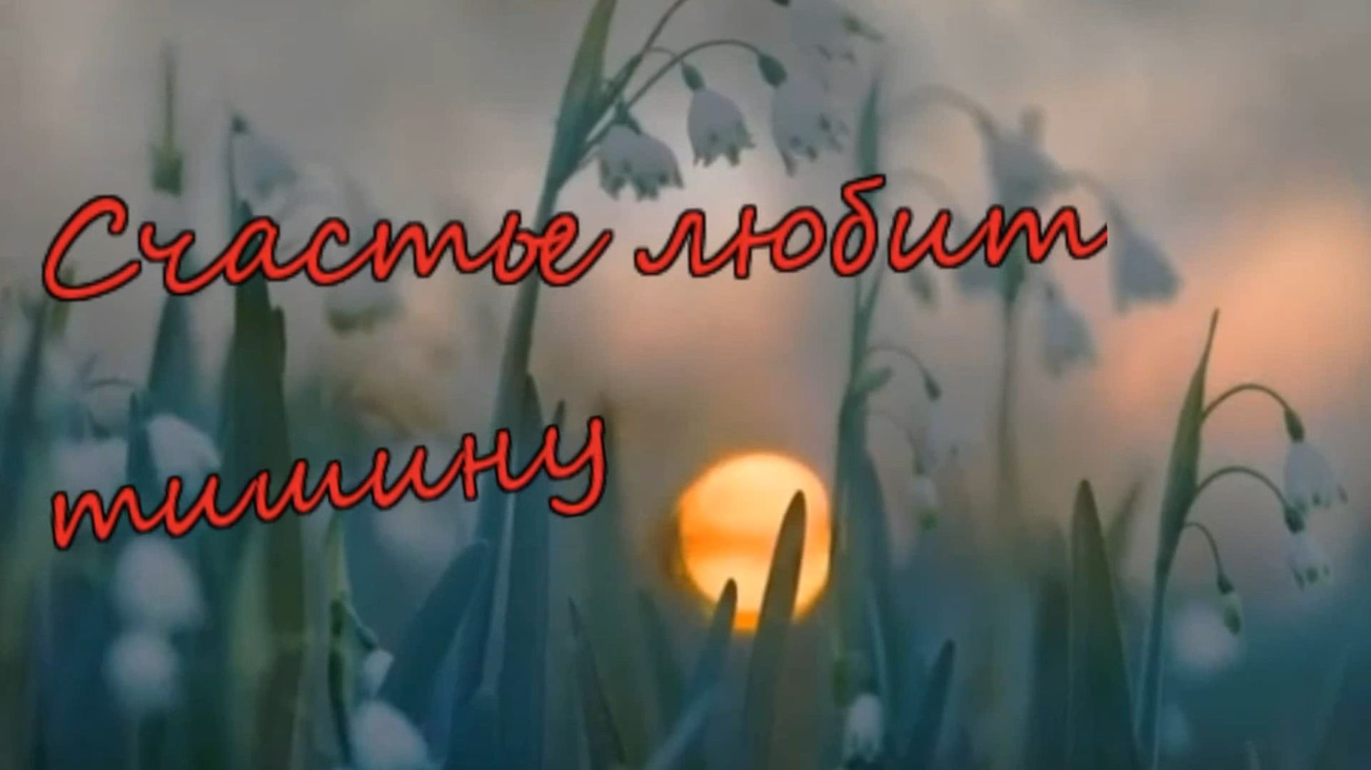 дузт Гравитация - Счастье любит тишину.