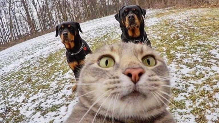 Ржу не могу звонок фермеру с предложениями инвестировать смотреть онлайн