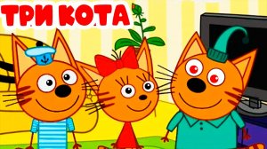 ТРИ КОТА - СЕМЬЯ КОТИКОВ ЕДУТ НА ПИКНИК - МУЛЬТИКИ ТРИ КОТА