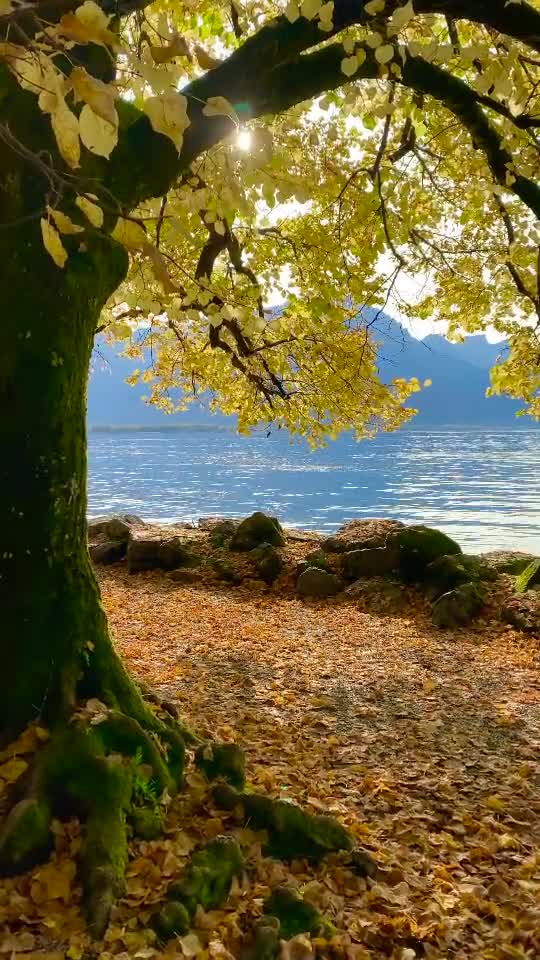 Подпишись 👉 👉 https://kamennyi-zver.ru смотреть онлайн