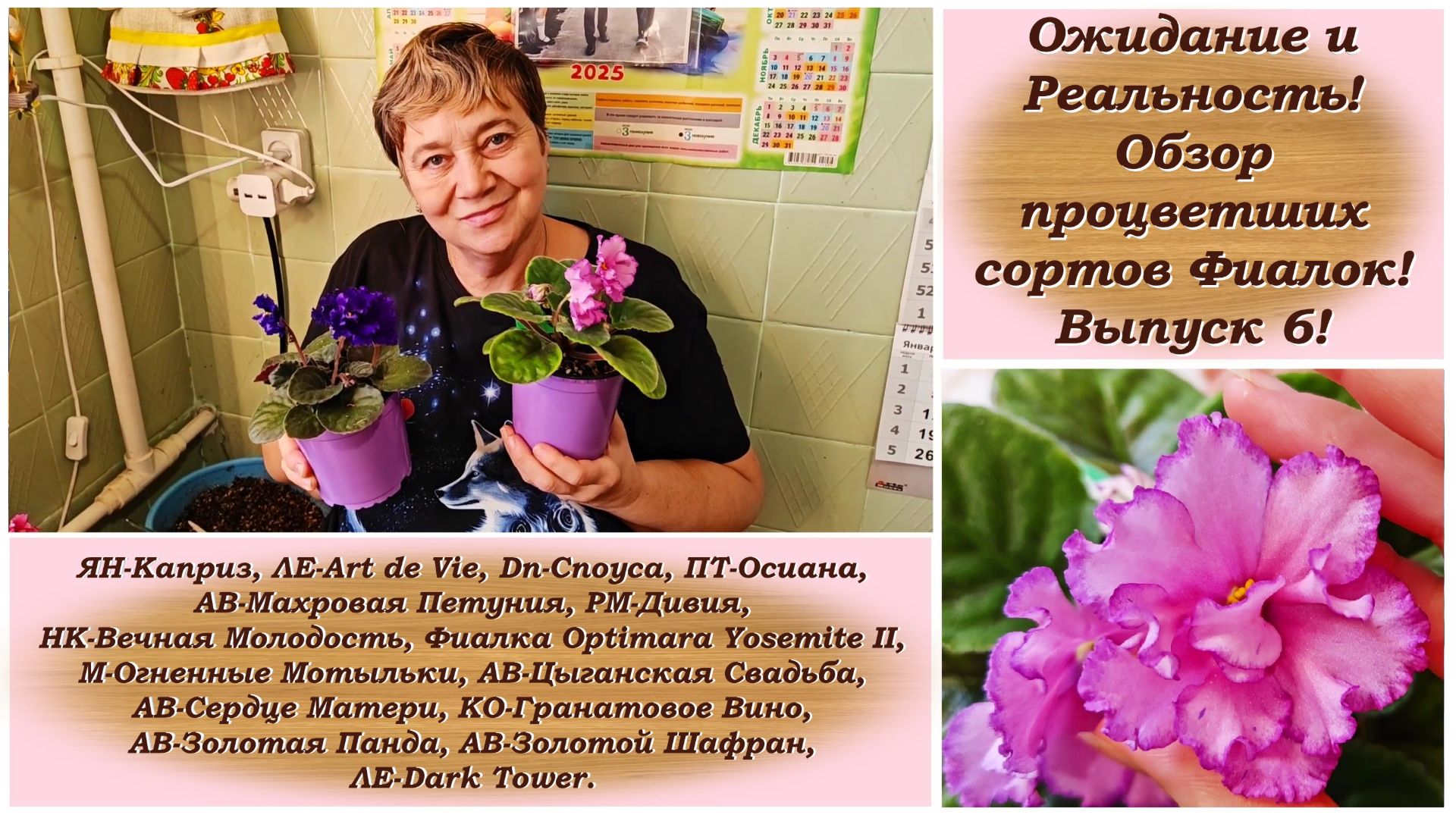 Ожидание и Реальность! Обзор процветших сортов Фиалок! Выпуск 6!