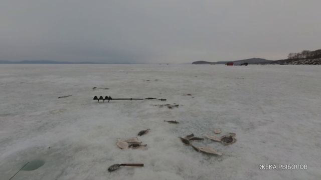 ПОДЛЁДНАЯ РЫБАЛКА В ПРИМОРЬЕ / РЫБАЛКА В АМУРСКОМ ЗАЛИВЕ смотреть онлайн