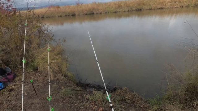 КАРАСЬ НА ДОНКУ В ОКТЯБРЕ / РЫБАЛКА НА ДОНКУ С КОРМУШКАМИ смотреть онлайн