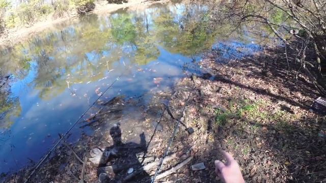 Рыбалка на карася. Рыбалка на реке Грязная. смотреть онлайн