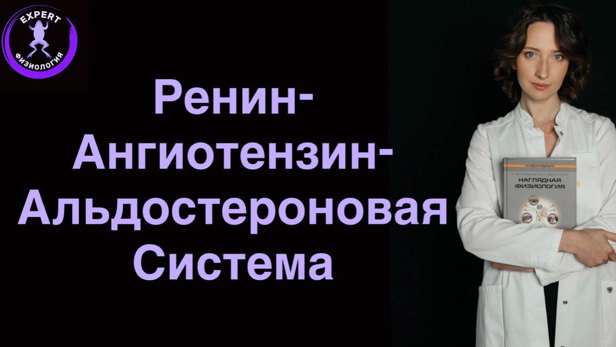 Ренин-ангиотензин-альдостероновая система.