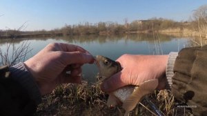 НИКТО НЕ ЛОВИТ, А Я ЛОВЛЮ / РЫБАЛКА НА КАРАСЯ