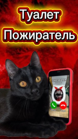 ТУАЛЕТ ПОЖИРАТЕЛЬ В РЕАЛЬНОЙ ЖИЗНИ 🙀 #кот #кошка #животные #ужасы #страшно #туалетпожиратель