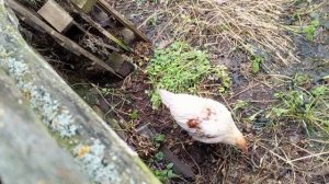 Земляные работы.Она преследует меня.