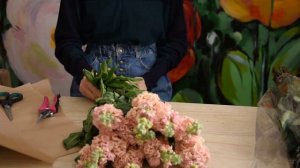 Маттиола. Хранение и уход