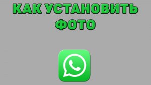 Как установить фото в Ватсапе