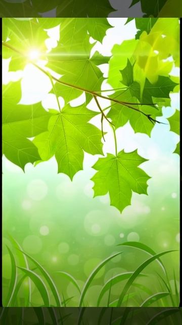 Зелёный фон. Листья. смотреть онлайн