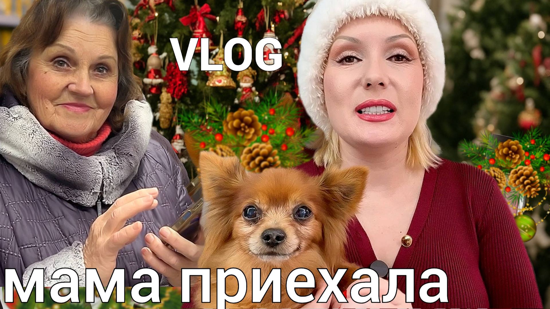 VLOG: МАМА В ГОСТЯХ! Гуляем, милашка Цветик🐕🦺// Украшаю квартиру,купила новое платье👗,распаковка
