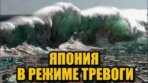 Цунами в Японии: первые волны после мощного землетрясения