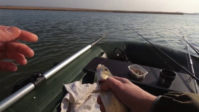 РЫБАЛКА С ЛОДКИ / ЭТА СНАСТЬ ВЫЛОВИТ ВСЮ РЫБУ / ВОТ ЭТО КЛЕВ!!! смотреть онлайн