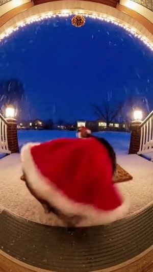 Камера на дверном звонке засняла, как Этот Кот Танцует! 😂🎄🐾