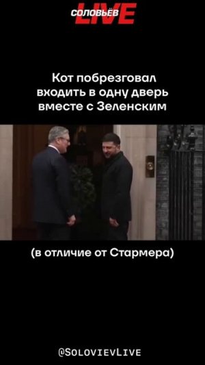 Кот оказался умнее Стармера и решил не входить в одну дверь с нелегетимным клоуном на Даунинг-стрит