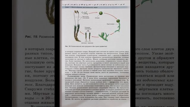 Биология 7 класс В.В. Пасечник. §6. Отдел Моховидные.