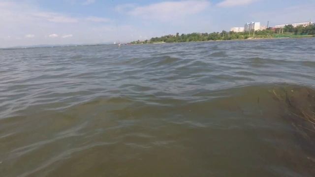 ОХОТА НА ХИЩНИКА / ОСВОБОЖДАЮ САРГАНА ИЗ СЕТЕЙ #рыбалка #жекарыболов #сарган смотреть онлайн