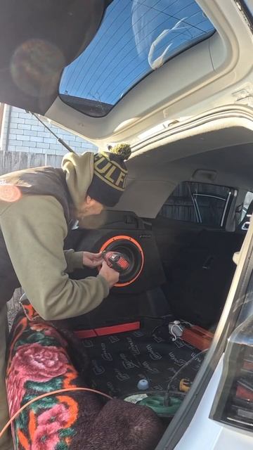 DL Audio Gryphon Lite 10 V.3 SE