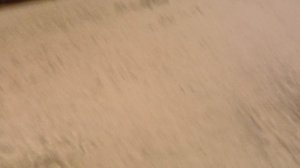 соник,тейлз,наклз,шедоу,сильвер,эми,эггман (океюшка)играют в футбол ⚽️