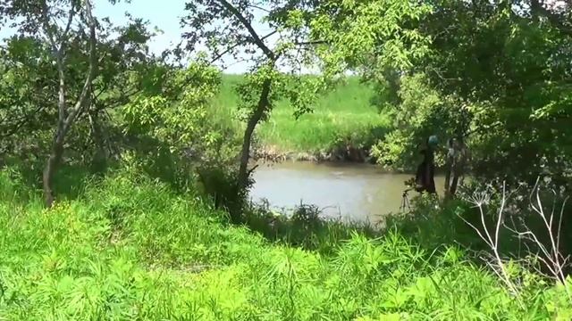 Рыбалка на поплавок на реке. смотреть онлайн