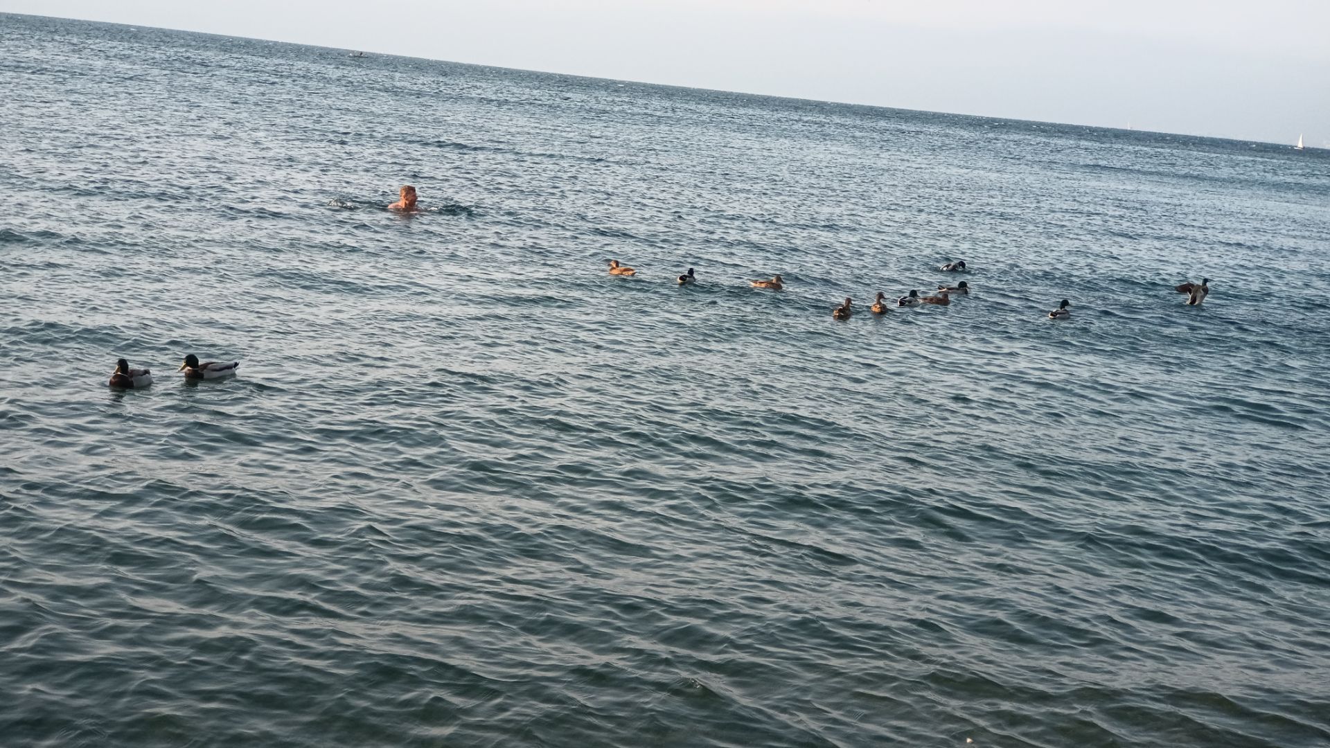 Анапа, декабрь, 2025 смотреть онлайн