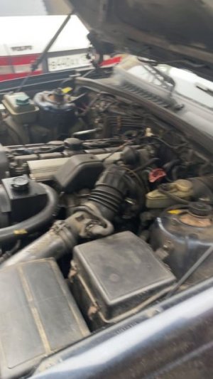 Volvo 960 - зверь