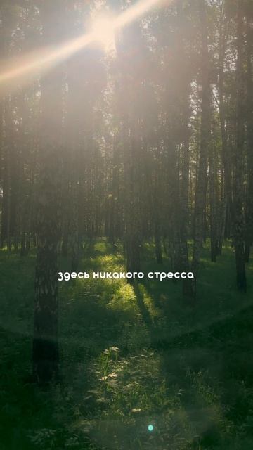 Отдых в Сибири | Отдых в России смотреть онлайн