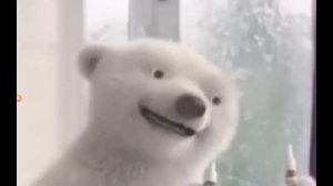 Анимационная студия Сиалор ржёт с лица белого медведя сиалор