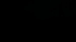 Чёрная книга: серия 17 (Святая)