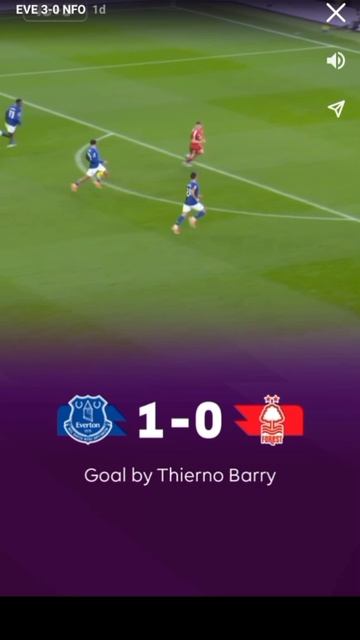 Эвертон-Ноттингем Форест смотреть онлайн