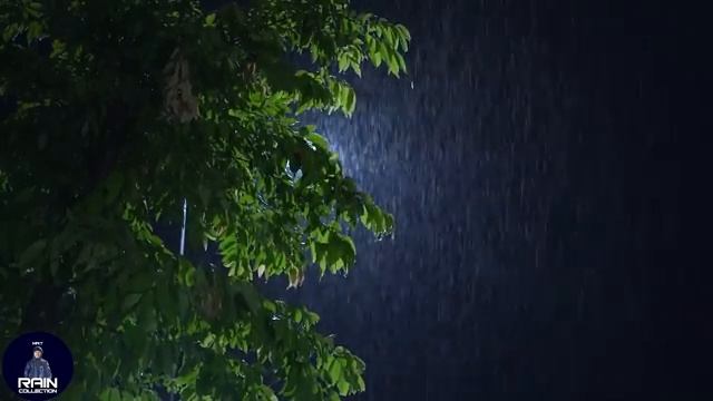 ШУМ ДОЖДЯ ДЛЯ СНА СЛУШАТЬ ОНЛАЙН БЕСПЛАТНО БЕЗ РЕКЛАМЫ смотреть онлайн