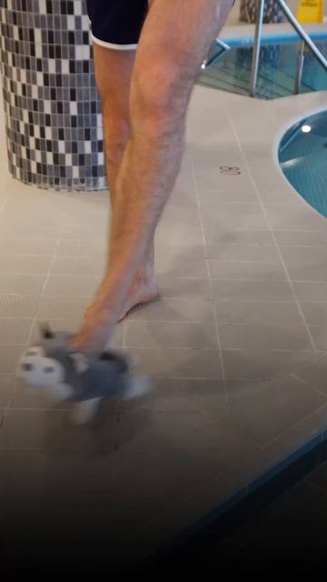 Правила поведения в бассейне смотреть онлайн