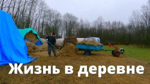 Теперь и "тепленькая пошла"!  Размеренные делишки теплого декабря. Жизнь в деревне