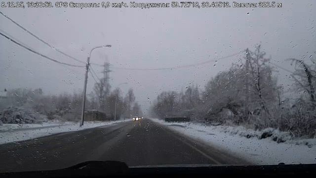 #5048 /08-12-25 г./ Архив В.В. две особи стоят не там, где надо... смотреть онлайн