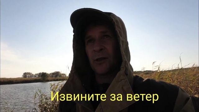 САЗАН НА ПРУЖИНУ / РЫБАЛКА НА РЕКЕ #жекарыболов #ловлясазана смотреть онлайн
