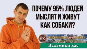 Почему 95% людей мыслят и живут как собаки?