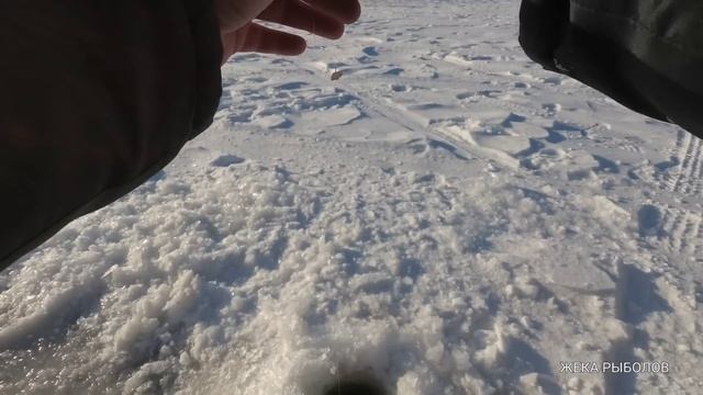 ВОТ ЭТО РЫБАЛКА / ЛОВЛЯ СЕЛЁДКИ НА САМОДУР смотреть онлайн