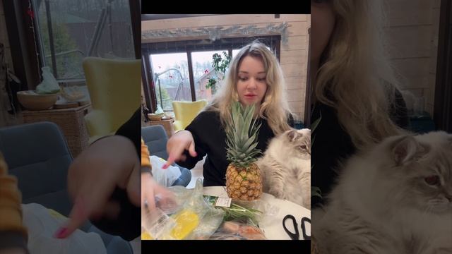 Распаковка чек обзор! 🛍️ мукбанг влог болталка 😜 едим ананас 🍍🙀 Платон охотится на птиц смотреть онлайн